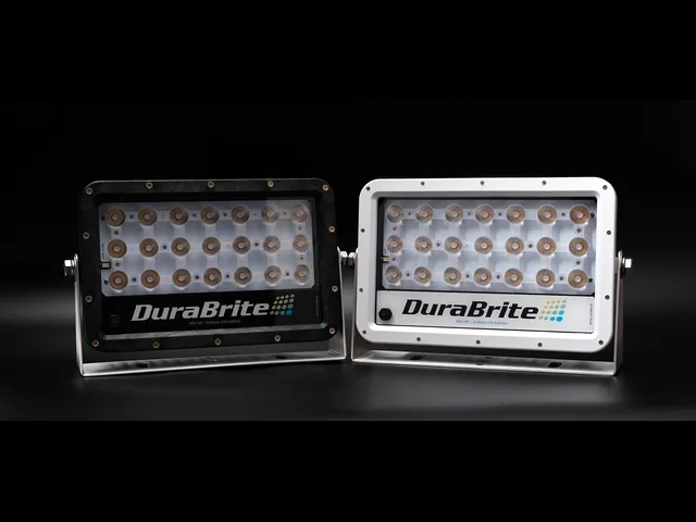 DuraBrite Inshore 100 lights in black and white housings