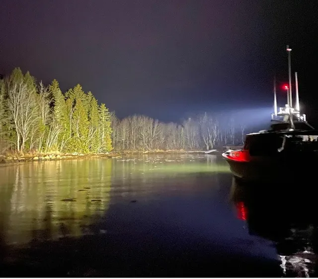 A DuraBrite Mini spotlight lighting a treeline across the water from a boat at night